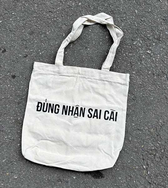 Canvas Tote Bag — ảnh 4